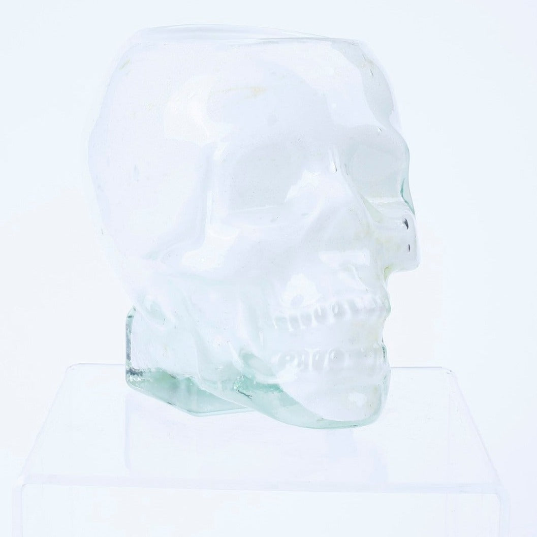 shop-our-huge-collection-of-handblown-glass-gothic-skull-vessel-halloween-tabletop-decor-available-in-black-or-white-discount_1.jpg